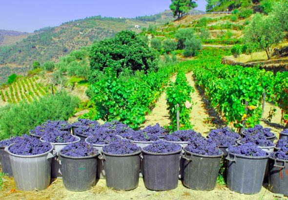 Screenshot 2026-04-08 092606