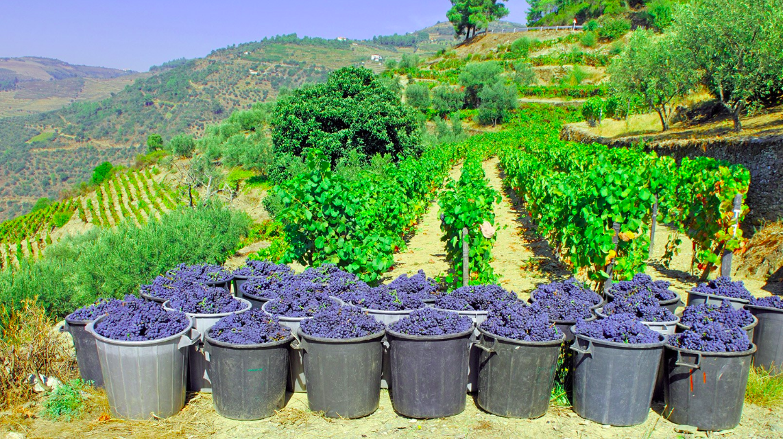 Screenshot 2026-04-08 092606